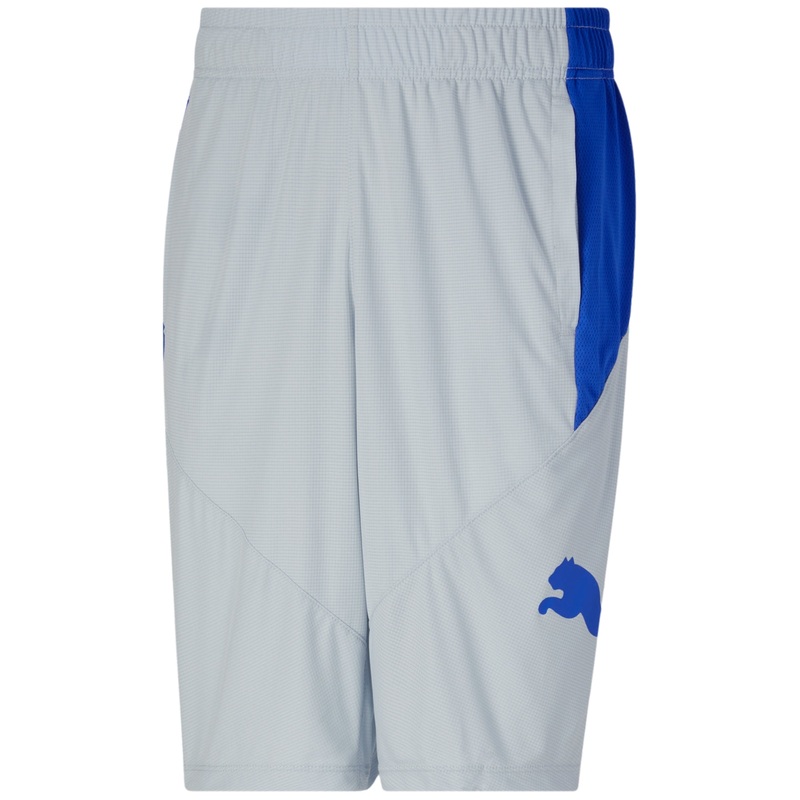 Puma Men's 10" Moisture Wicking Training Cat Shorts in Grey Large