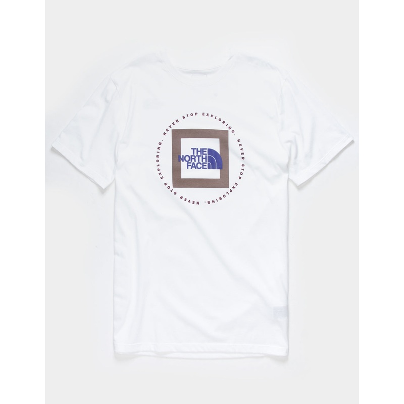 The North Face Men's Geo NSE White Deep Taupe T Shirt Small