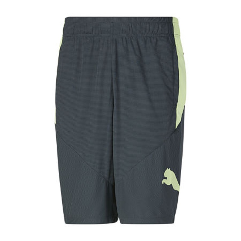 Puma Cat Short Mens Workout Shorts Gray Large