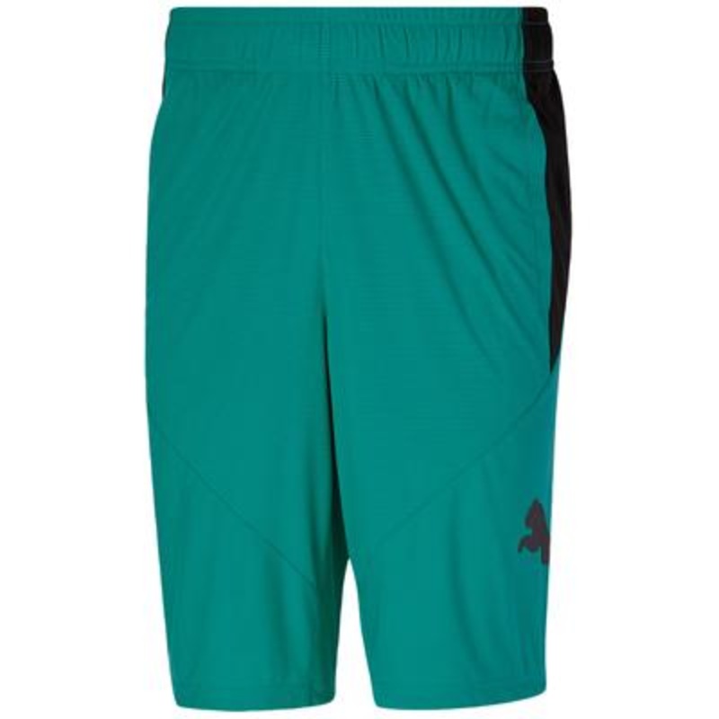 Puma Mens Training Cat Shorts Green 2XL
