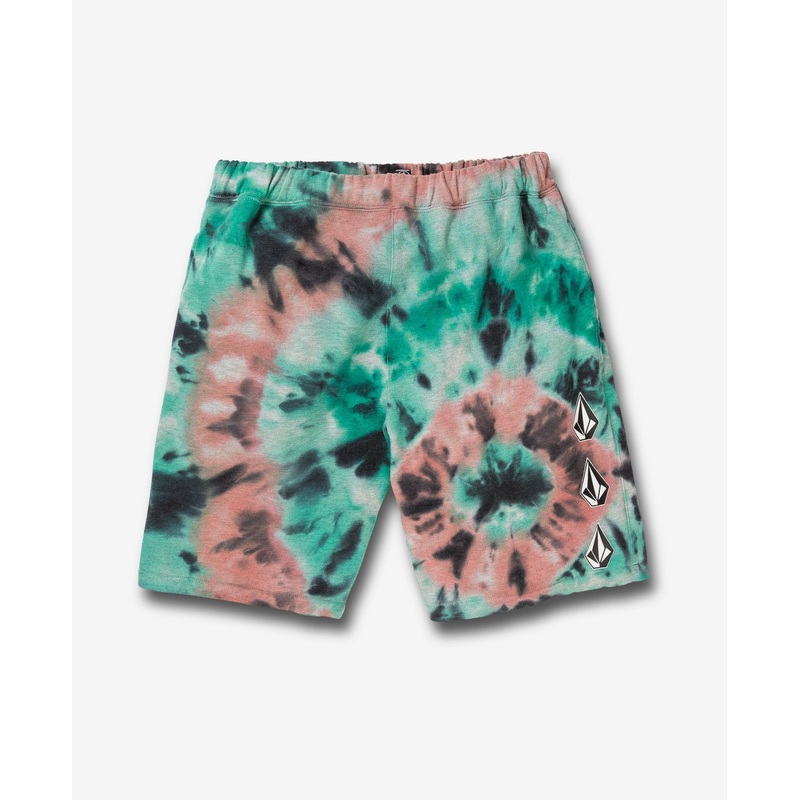 Volcom Iconic Stone Plus Fleece Shorts  Size 0  Medium