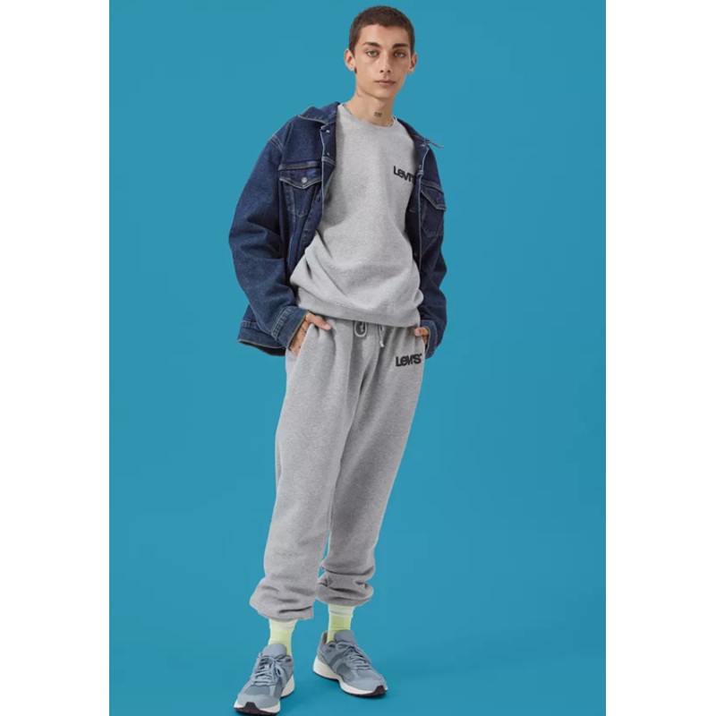 Levi's Mens Regular fit Pullover Sweatshirt Small Grey Solid